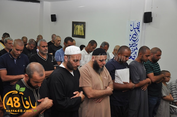 mohamed elfatekh3 (2).JPG